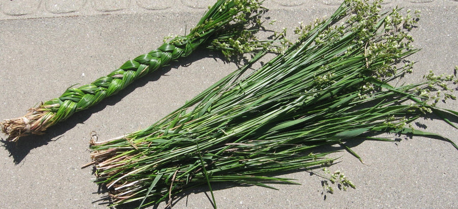 Sweetgrass AA Qualität (2 x 60 - 70 cm)