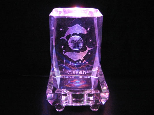 3D Kristal Lasergraveerblok – Vissen