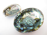 Abalone-Muschel Großhandel - Mittel