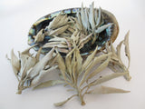 Abalone-Muschel Großhandel - Mittel