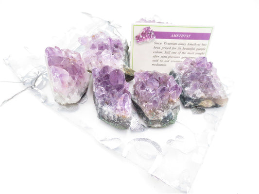 Natürliche Amethyst Kristallcluster (6 Stück)
