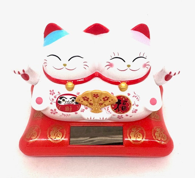 Tweeling Zonne-energie Gelukskatten