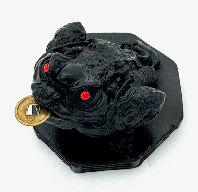 Feng Shui Frosch mit Glücksmünze - Schwarz