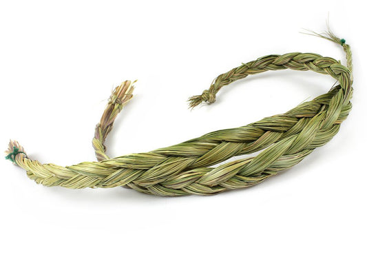 Sweetgrass AA Qualität (2 x 60 - 70 cm)