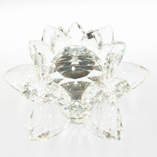 Kristalllotus auf Standard (klein)