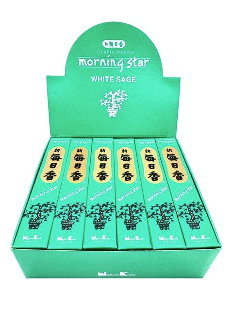 Morning Star - White Sage (6st)