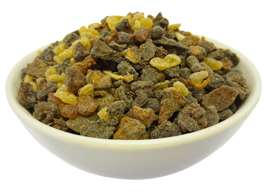 SAC Fragrance Oil Coconut