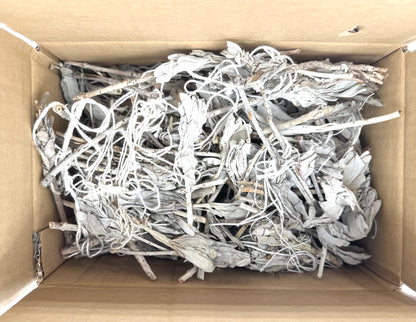 Weißer Salbei Tulpenverlust (500 g)