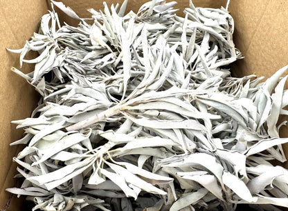 Großhandel - Weißer Salbei-Cluster AA-Qualität - (1000 g)