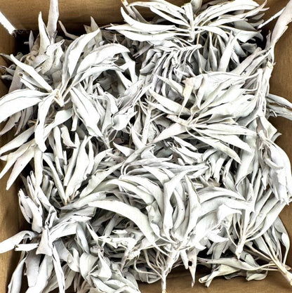 Großhandel - Weißer Salbei-Cluster AA-Qualität - (1000 g)