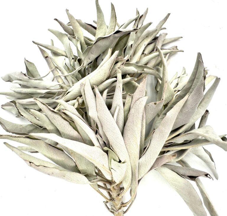 Großhandel - Weißer Salbei-Cluster AA-Qualität - (1000 g)