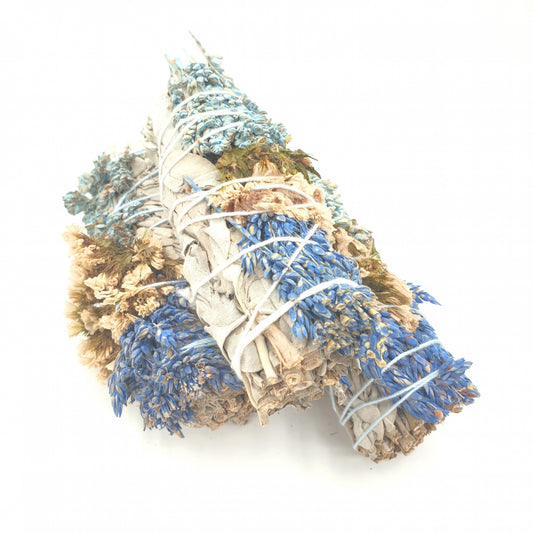 Weier Salbei &amp; Statice Sinuata &amp; Sorghum Smudge 12cm (3 x 30-40 Gramm)