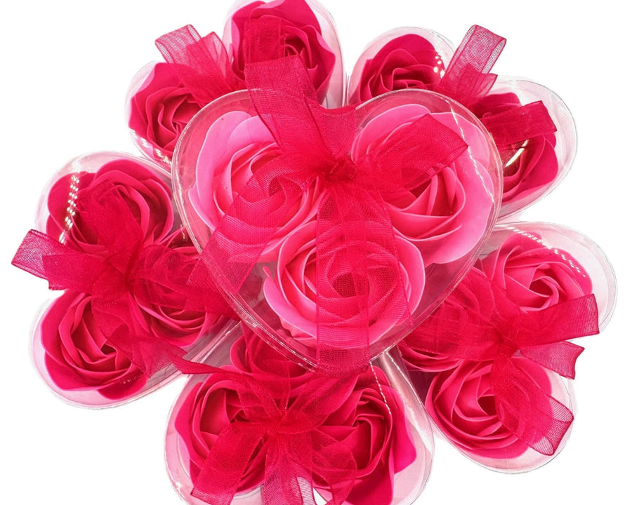 Romantische rosafarbene Seifenfuchsia – 12 Stück